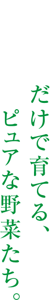 水と光だけで育てる、ピュアな野菜たち。